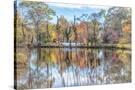 Stretched Canvas
