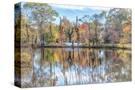 Stretched Canvas