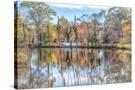 Stretched Canvas