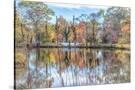 Stretched Canvas