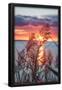 Essential Black