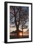 Black Frame