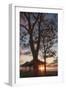 White Frame