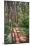 Wood Mount