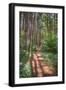 Black Frame