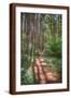 Brown Frame