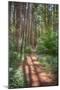 Wood Mount