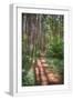 White Frame