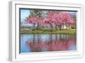 White Frame