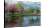 Stretched Canvas
