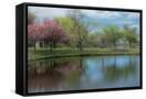 Canvas Black