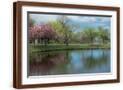 Brown Frame