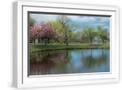 White Frame