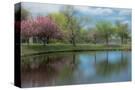 Stretched Canvas