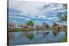 Stretched Canvas