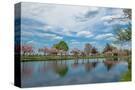 Stretched Canvas