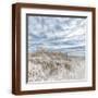 Brown Frame