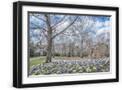 Black Frame