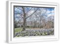 White Frame