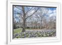 Gramercy White