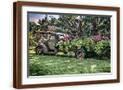 Brown Frame