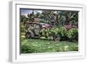 White Frame