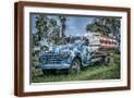 Brown Frame