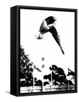 Pat McCormick, First to Win Back-To-Back Olympic Gold Medals in Platform and Springboard Diving-null-Framed Stretched Canvas