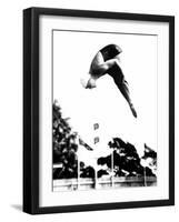 Pat McCormick, First to Win Back-To-Back Olympic Gold Medals in Platform and Springboard Diving-null-Framed Photo