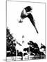 Pat McCormick, First to Win Back-To-Back Olympic Gold Medals in Platform and Springboard Diving-null-Mounted Photo