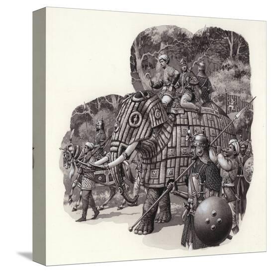 Stretched Canvas Print, , large