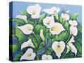 Stretched Canvas