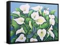 Canvas Black