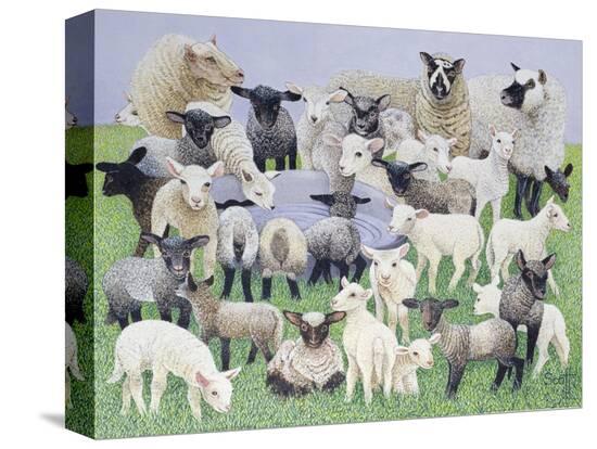 Stretched Canvas Print, , large