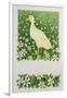 Gramercy White