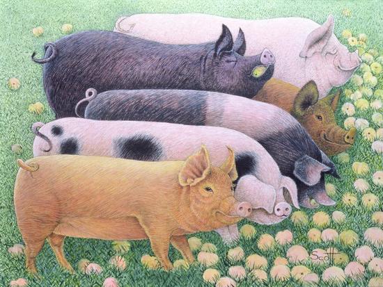 Premium Giclee Print, , large