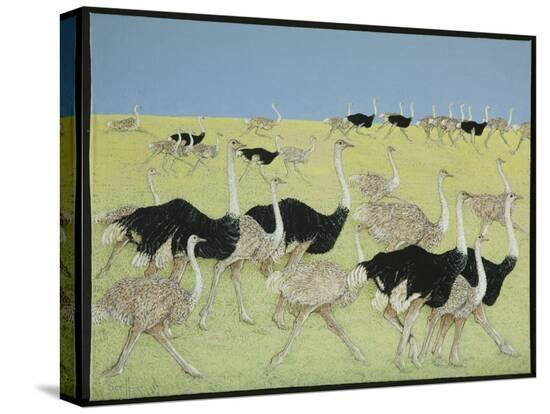 Stretched Canvas Print, , large