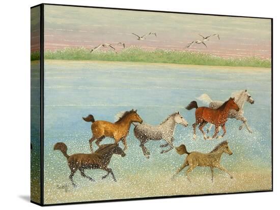 Stretched Canvas Print, , large