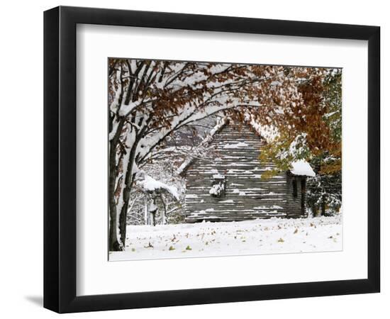 Premium Photographic Print, , large