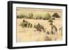 Patagonian Hare-James White-Framed Photographic Print