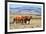 Patagonian Pampas on a Summer Day. the Herd of Wild Mustangs-kavram-Framed Photographic Print