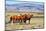 Patagonian Pampas on a Summer Day. the Herd of Wild Mustangs-kavram-Mounted Photographic Print