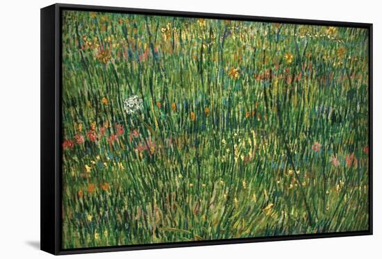 Patch of Grass by Van Gogh-Vincent van Gogh-Framed Stretched Canvas