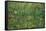 Patch of Grass by Van Gogh-Vincent van Gogh-Framed Stretched Canvas