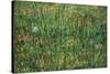 Patch of Grass by Van Gogh-Vincent van Gogh-Stretched Canvas