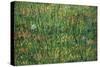 Patch of Grass by Van Gogh-Vincent van Gogh-Stretched Canvas
