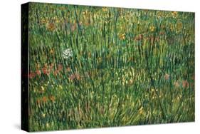 Patch of Grass by Van Gogh-Vincent van Gogh-Stretched Canvas