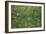 Patch of Grass by Van Gogh-Vincent van Gogh-Framed Art Print