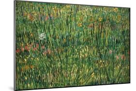 Patch of Grass by Van Gogh-Vincent van Gogh-Mounted Art Print