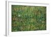 Patch of Grass by Van Gogh-Vincent van Gogh-Framed Art Print